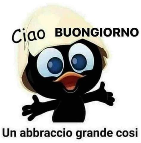 stickers buongiorno|good morning buongiorno meme.